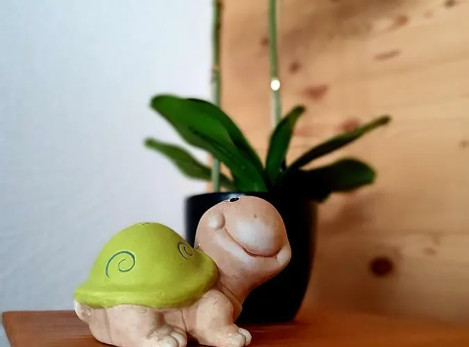 Lejlighed Churchstreet Meiringen