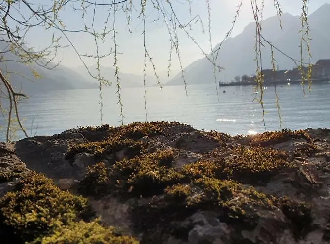 Lejlighed Churchstreet